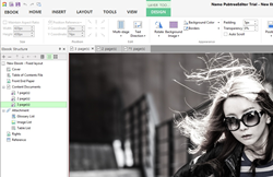 Professional quality eBook, without professional cost.