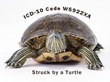 ICD-10 Can Be Something to Smile About