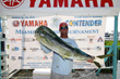 FineAwards.com Provides Crystal Trophies at the Yamaha Contender Miami...