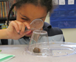 Two Imagine Schools Named Finalists in 2014 National Schools of...