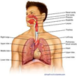 Asthma Mist: The Clinically Proven Most Effective At-home Asthma...