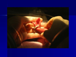New Book Project from the Canadian Premature Babies...