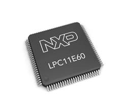 LPC11E60
