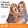 Actress Denise Richards of ABC’s 'Twisted' Joins Best Friends...