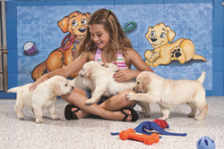 Puppy hugging at Southeastern Guide Dogs in Palmetto, Florida