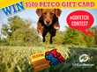 GiftCardRescue.com Launches Viral Video Contest for Animal Lovers