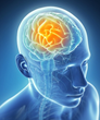 Mind Secrets Exposed 2.0: Review Examining Greg Frost’s Personal...