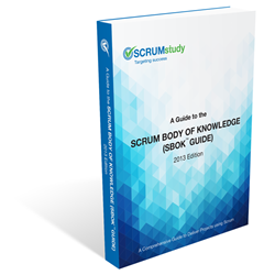 The SBOK™ Guide