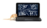 Data Mouse