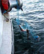 NOAA Awards University of New England Grant to Boost Consumer Market...