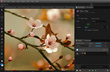 Sad Cat Software Announces Ormr Beta - a New Non-Destructive,...