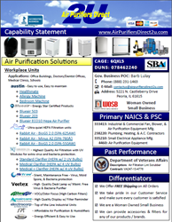 Capability Statement for Government Clients
