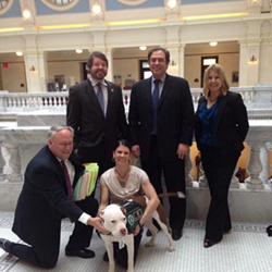 BSL, BDL, pit bulls, pit bull terriers, Best Friends Animal Society, Breed Specific Legislation, pubic safety, dog bites