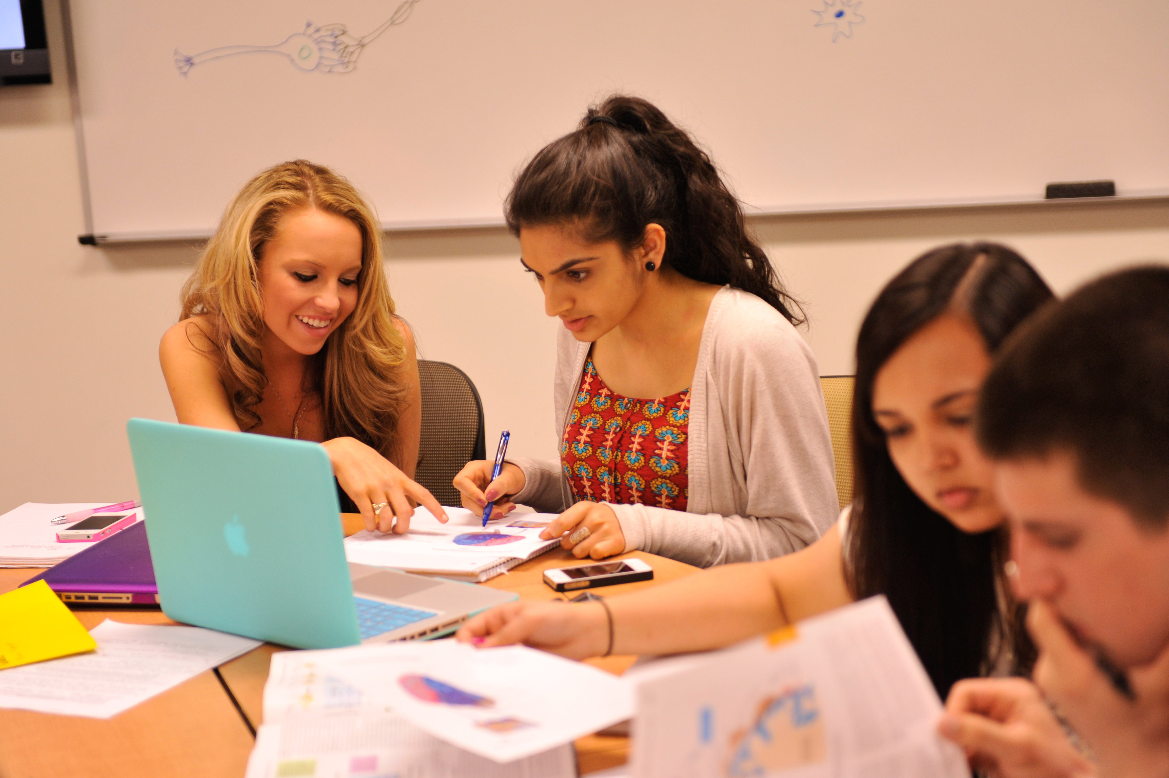 UMBC Offers More Than 400 Courses During Summer Session 2014