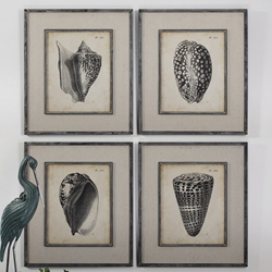 Uttermost Vintage Diderot Shells Art Set 51088