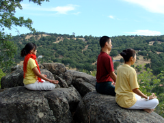 Ayurveda consultation