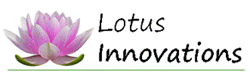 Lotus Innovations Private Equity Fund