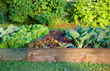 A Bigger Bounty is in the Bag- PRO-MIX® Organic Vegetable and...