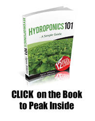 hydroponics 101 review