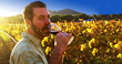Luxury LGBT Wine Group, Out In The Vineyard, Takes Gay Wine Lovers To...