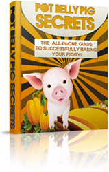 pot belly pig secrets review