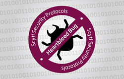 Scytl secured online voting unaffected by Heartbleed bug attack