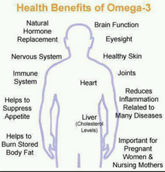 benefits of omega 3 fatty acids   Visual.lyvisual.ly