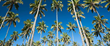 Renovations On Kauai's Royal Coconut Coast Top Nine Million...