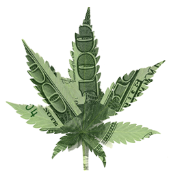 Cannabis Capital Summit - Angel Investing in Marijuana Business