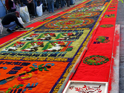 Guatemala Sawdust Carpets