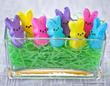 The Easter Bunny Goes Gluten-Free in 2014-World Gardens Cafe's...