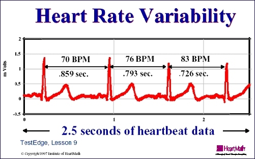 Heart Variability Chart