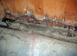 Mold Issue in West Lafayette City Hall Found Worse Than Expected; My...