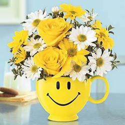 From the Administrative Professional's Day Collection at 1stinFlowers.com