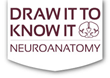 New Multimedia Products from STAT!Ref: Draw it to Know it, BoardVitals...