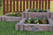 Elevated Gardens Increase Odds of Gardening Success