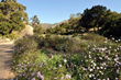"Get Inspired!" Santa Barbara Celebrates Public Gardens in...
