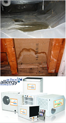 Preventing Excess Moisture, Mold and Mildew with Santa Fe Dehumidifiers