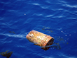 Total Mass of Plastic Particles Littering North Pacific Ocean...