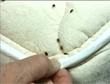 Detroit Pest Control Company, Pest Masters, Inc., Performs Website...