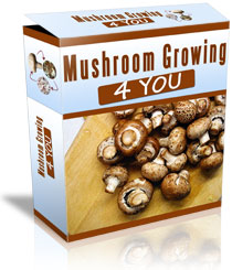 Mushroom Growing 4 You Review | Discover Jake White's Methods for Growing  Mushrooms Naturally – Vinamy