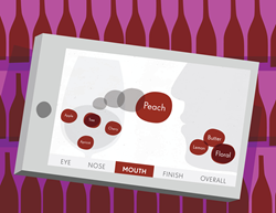 Illustration of Quini on iPad showing how wine terms can be moved around