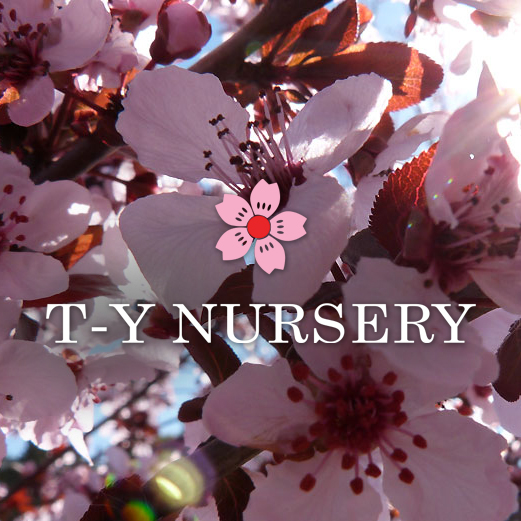 A Fresh New Sales Direction at TY Nursery in Torrance, California