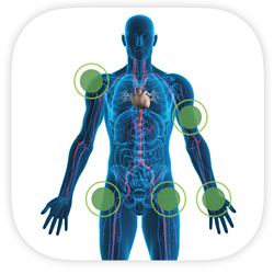CERAMENT™ App
