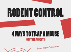 infographic-mouse-traps-clean-crawls