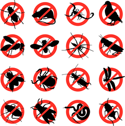 pest control Savannah Ga.