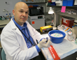 Osteoporosis Breakthrough: UVA IDs Genes Influencing Bone Density
