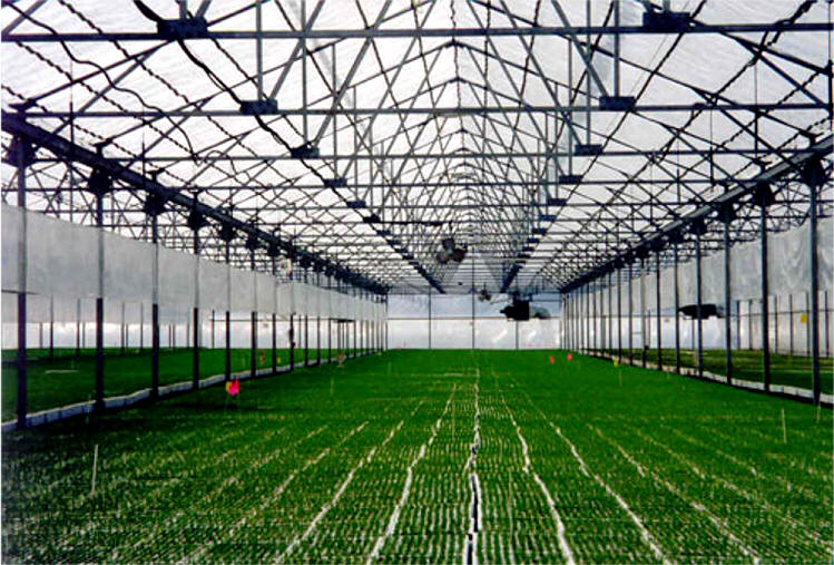 Shade Cloth Helps Reduce Greenhouse Ventilation Costs