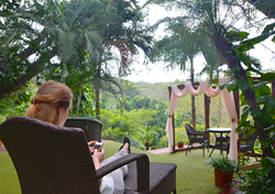 Ecotourism solutions for corporate travel