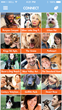 Popular App Dog Land Releases New Messaging Feature